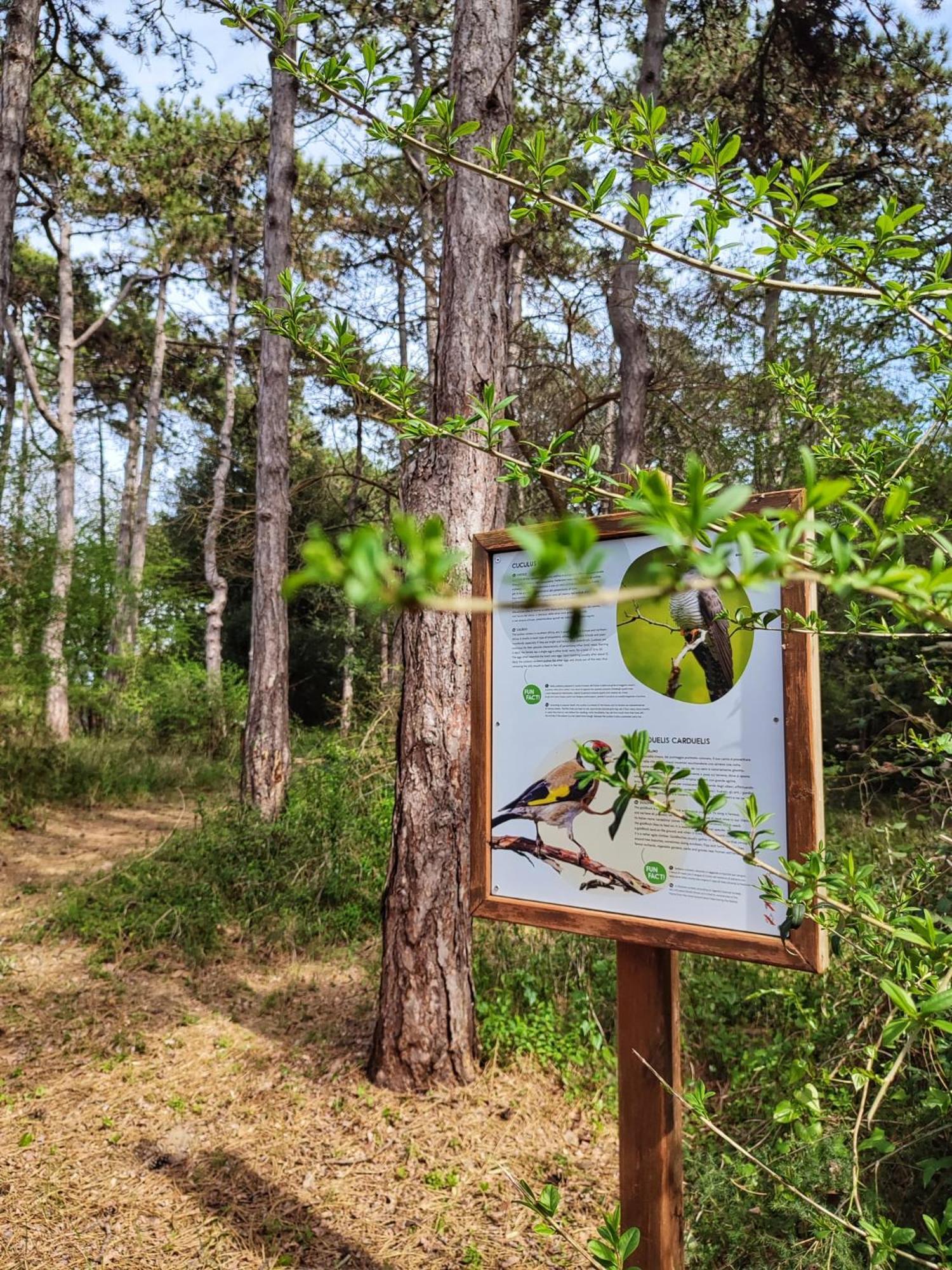 Green Village Eco Resort Lignano Sabbiadoro Exteriér fotografie